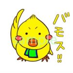 LINEスタンプ「黄緑のフットサルチームを応援するヒヨコ」