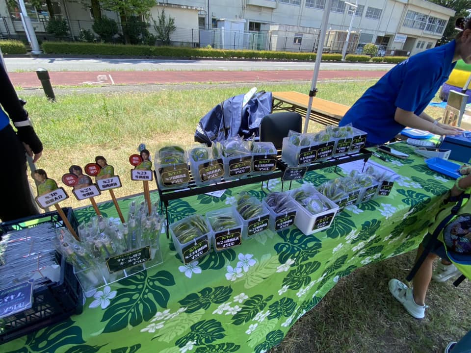 湘南ベルマーレフットサルクラブ　ペスカドーラ町田戦