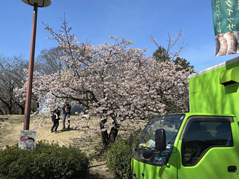 湘南ベルマーレ　川崎フロンターレ戦