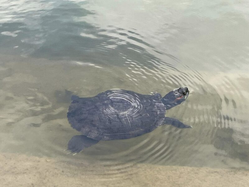 湘南ベルマーレ　浦和レッズ戦