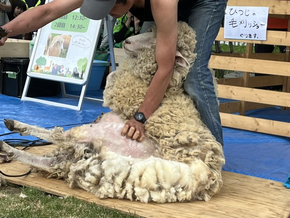 湘南ベルマーレ　サガン鳥栖戦