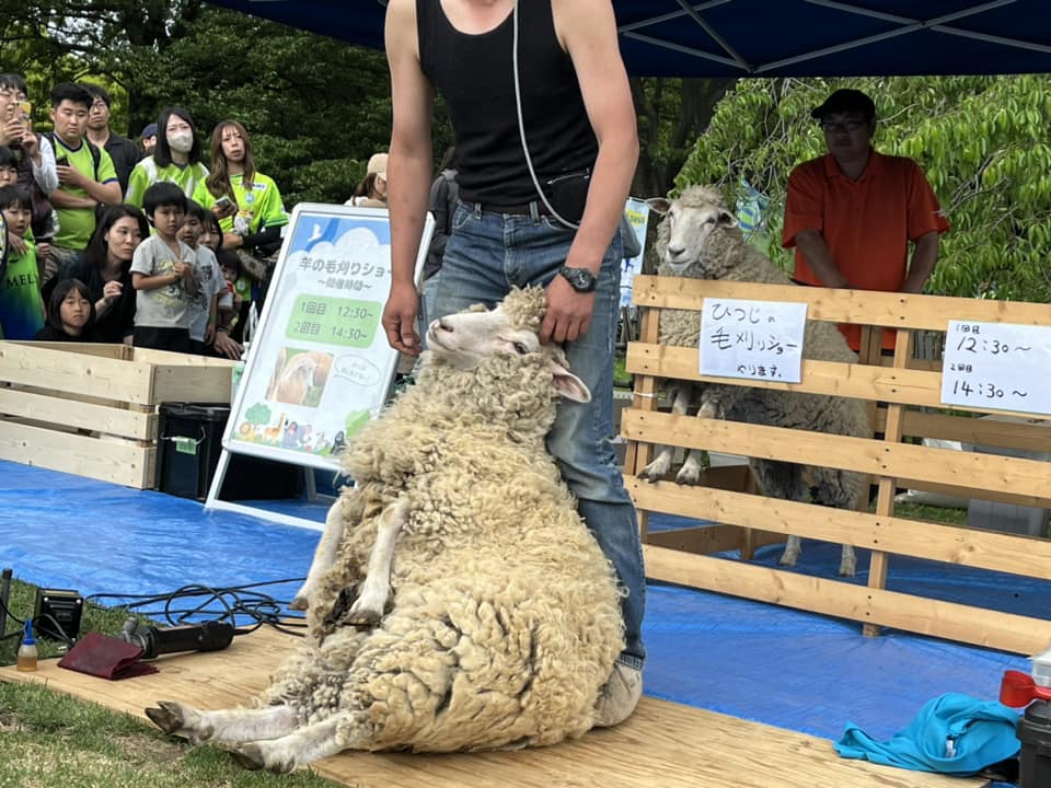 湘南ベルマーレ　サガン鳥栖戦