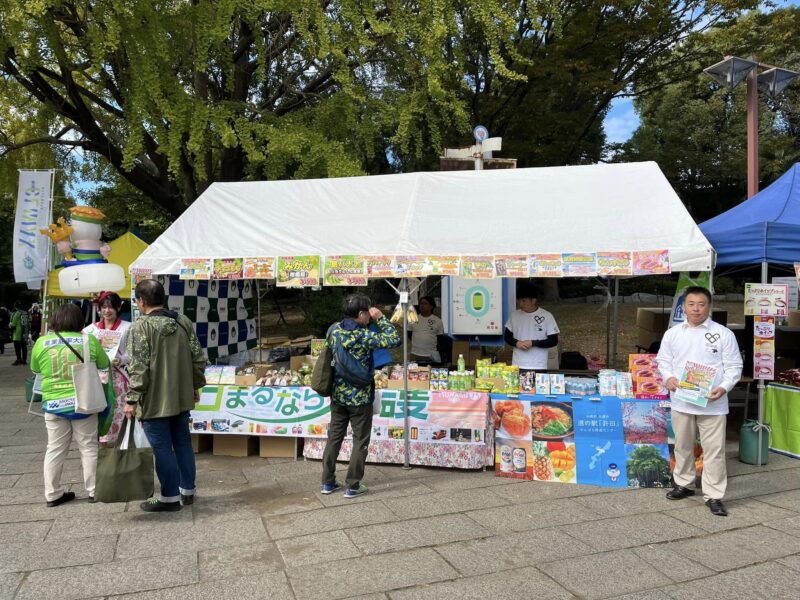 湘南ベルマーレ　北海道コンサドーレ札幌戦