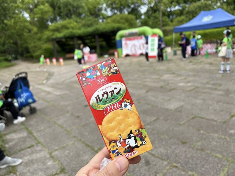 湘南ベルマーレ ルヴァンカップ FC東京戦