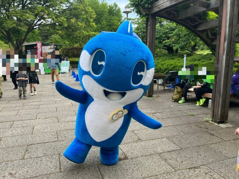 湘南ベルマーレ サンフレッチェ広島戦