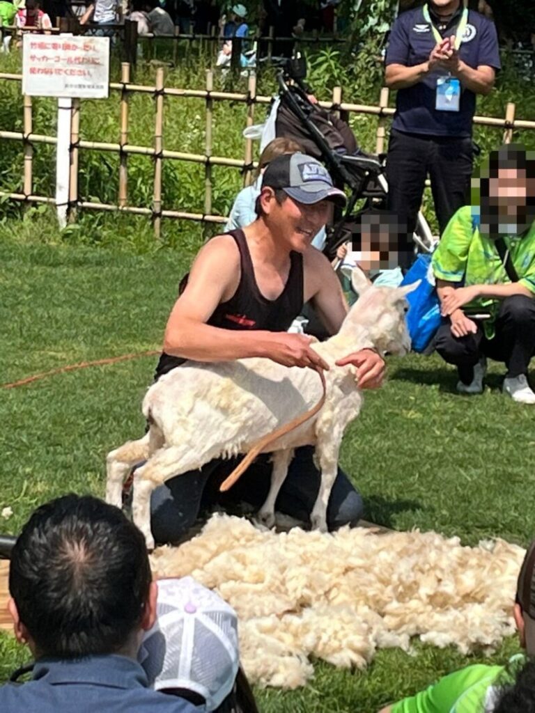 湘南ベルマーレ ファジアーノ岡山戦