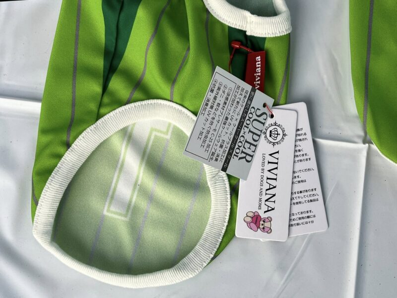 湘南ベルマーレ 横浜F・マリノス戦