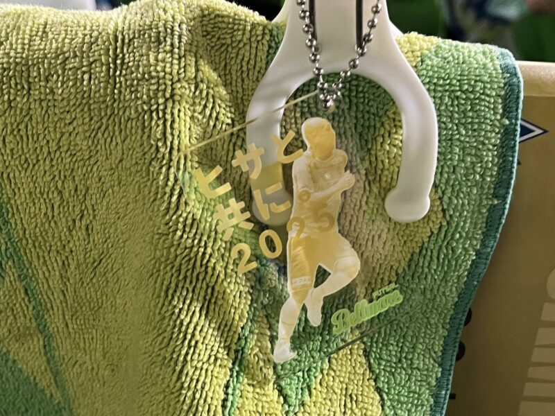 湘南ベルマーレ 川崎フロンターレ戦