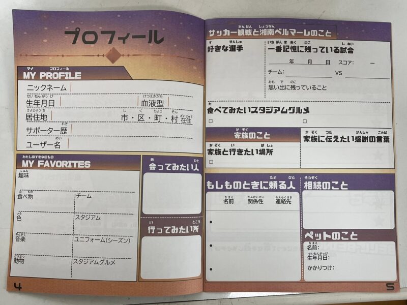 湘南ベルマーレ 京都サンガF.C.戦