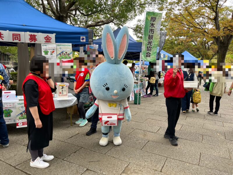湘南ベルマーレ 京都サンガF.C.戦