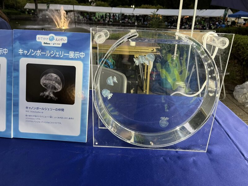 湘南ベルマーレ 川崎フロンターレ戦