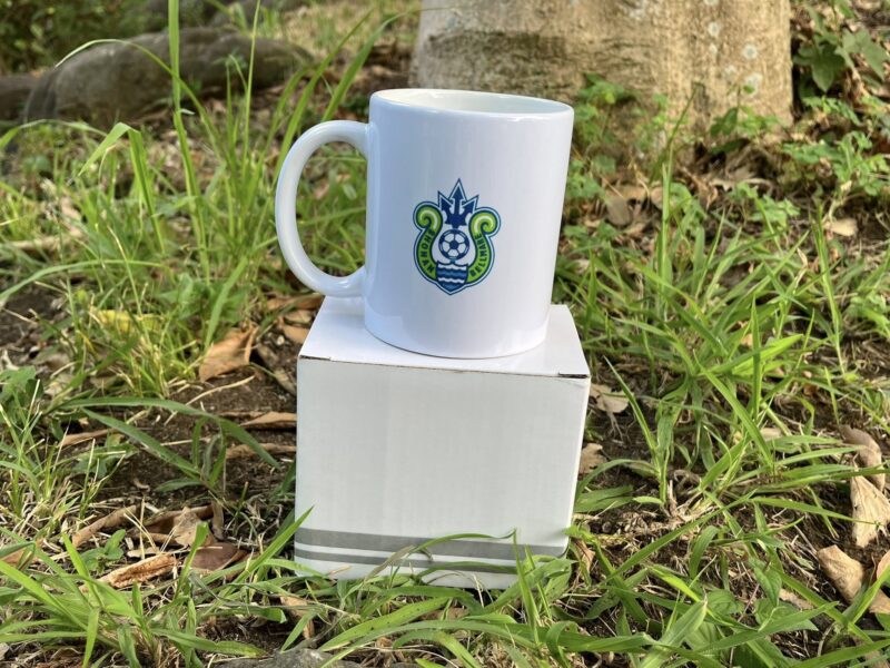 湘南ベルマーレ ガンバ大阪戦