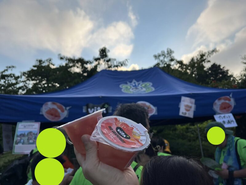 湘南ベルマーレ ガンバ大阪戦