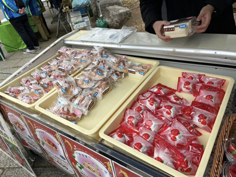 湘南ベルマーレ ブラウブリッツ秋田戦