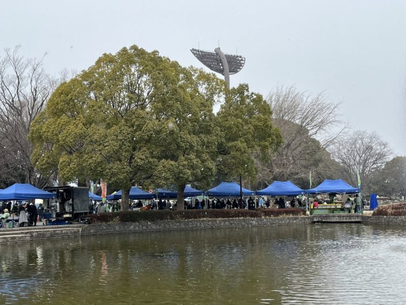 湘南ベルマーレ ブラウブリッツ秋田戦