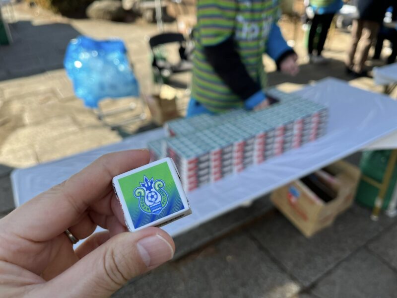 湘南ベルマーレ　SC相模原戦