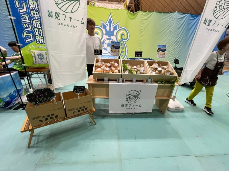 湘南ベルマーレフットサルクラブ　ペスカドーラ町田戦