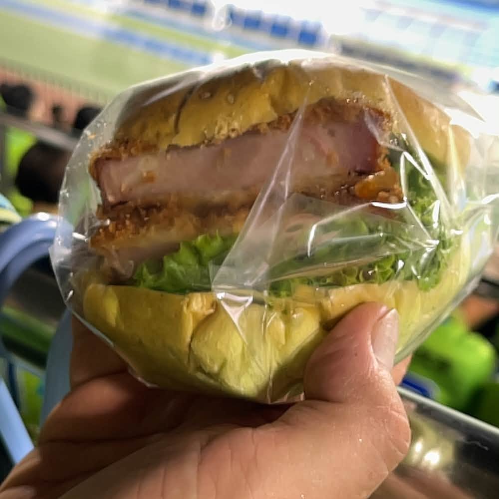 湘南ベルマーレ　天皇杯　ラインメール青森戦
