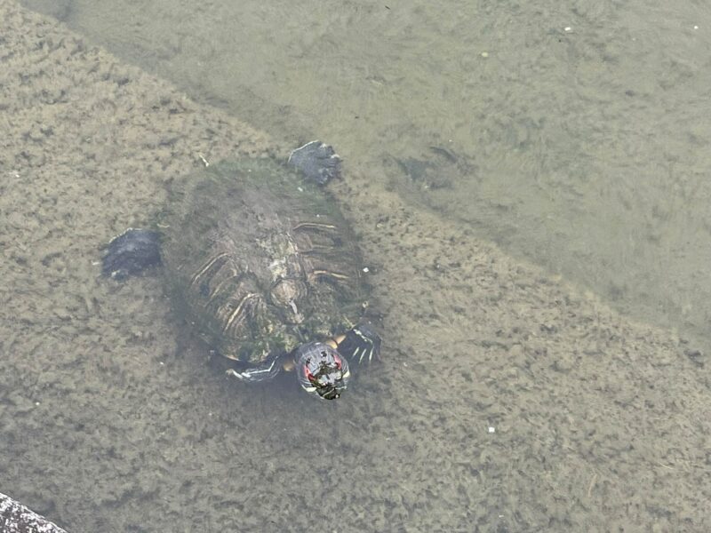 湘南ベルマーレ　ベガルタ仙台戦